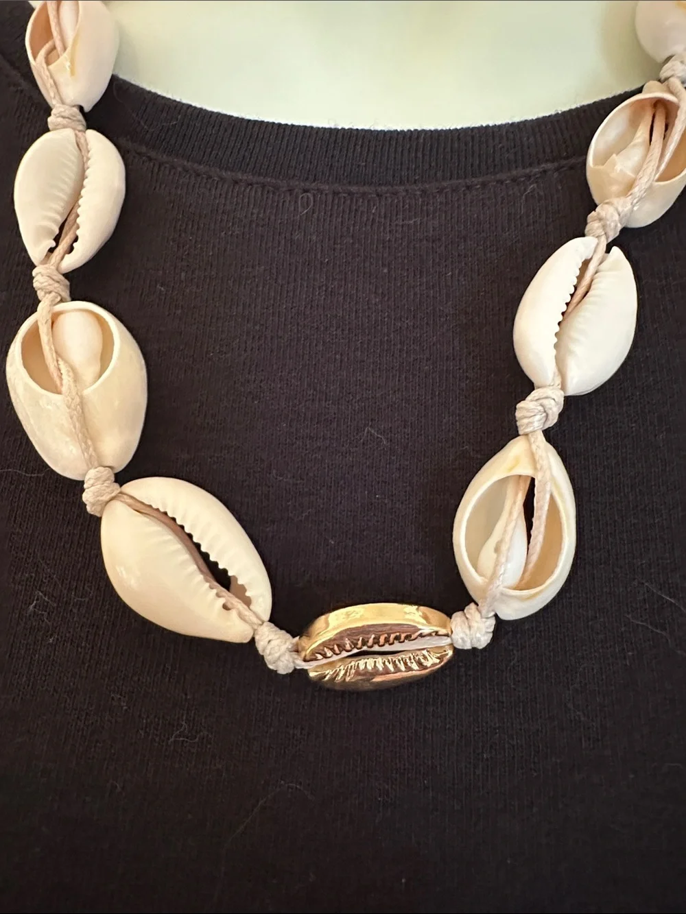Natural Cowrie Shell Necklace with Gold‎ Accent